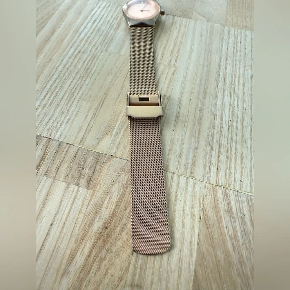 Skagen brand model